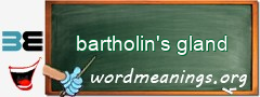 WordMeaning blackboard for bartholin's gland